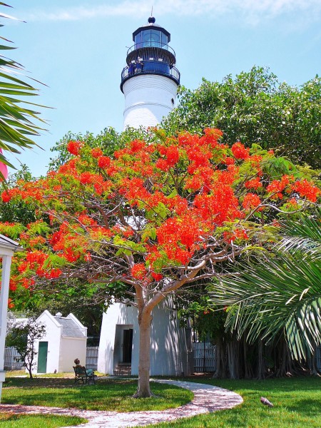 Key West Lighthouse Courtesy of Marc Averette