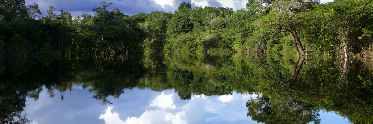 Amazon river reflections, Brazil