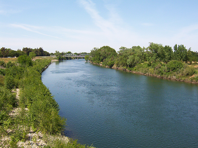 Sac_State_American_River_from_Guy_West_Bridge